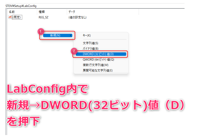 LabConfig内でDWORDを作成する